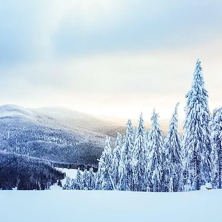 Mumlava 5 * Harrachov