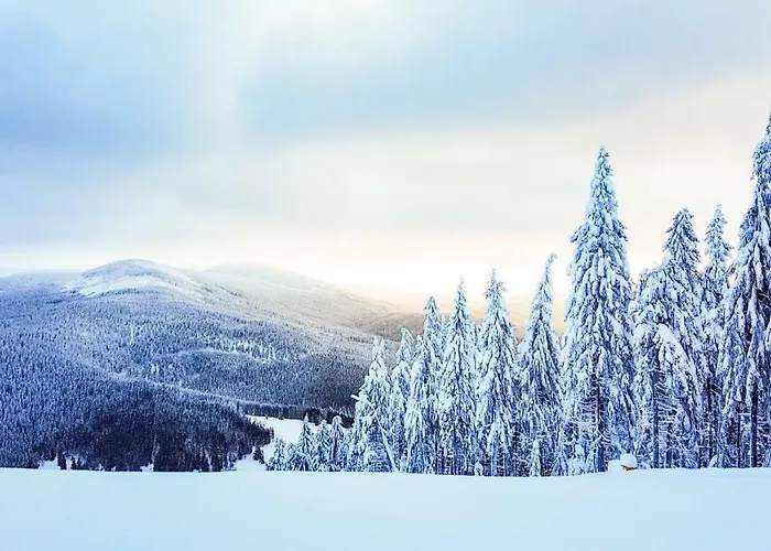 Mumlava 5 * Harrachov